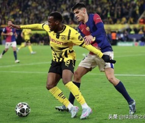 开云登录入口 -中国男篮赛程表