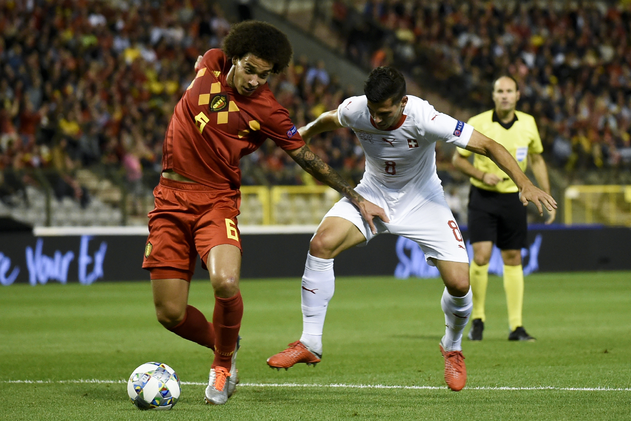 比卢普斯鼓励杨瀚森