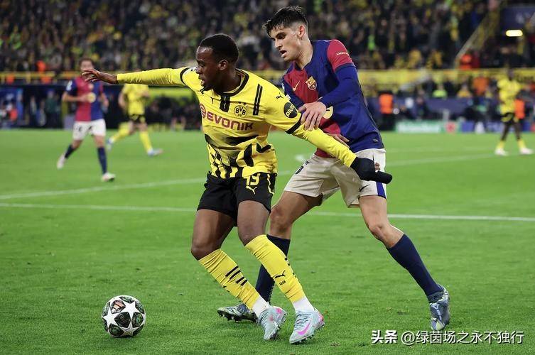 中国男篮赛程表